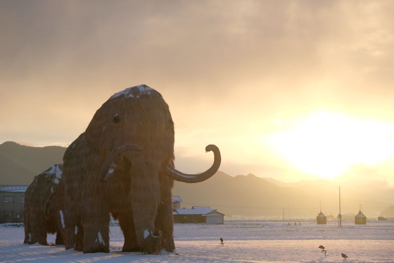 わらマンモス_雪景色_朝日