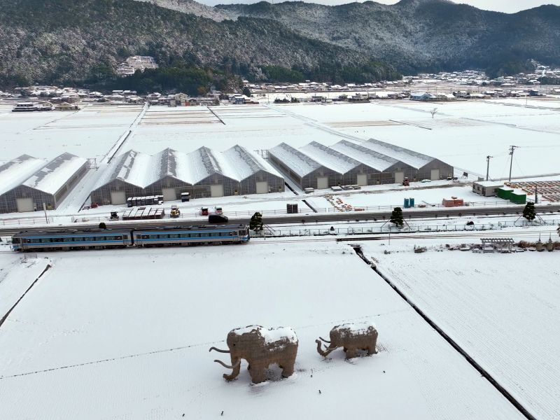 わらマンモス_雪景色_国鉄キハ185系気動車