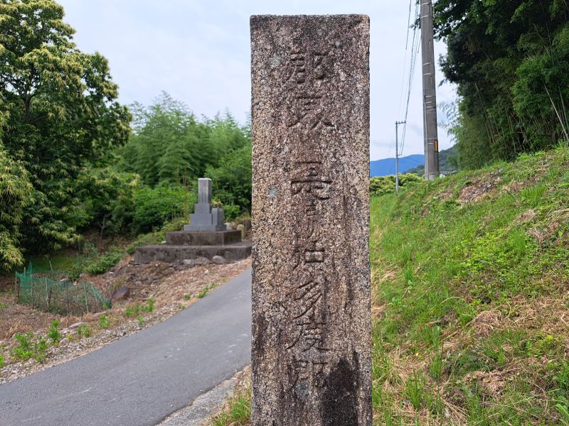 仲多度郡三豊郡郡界石_左面上部