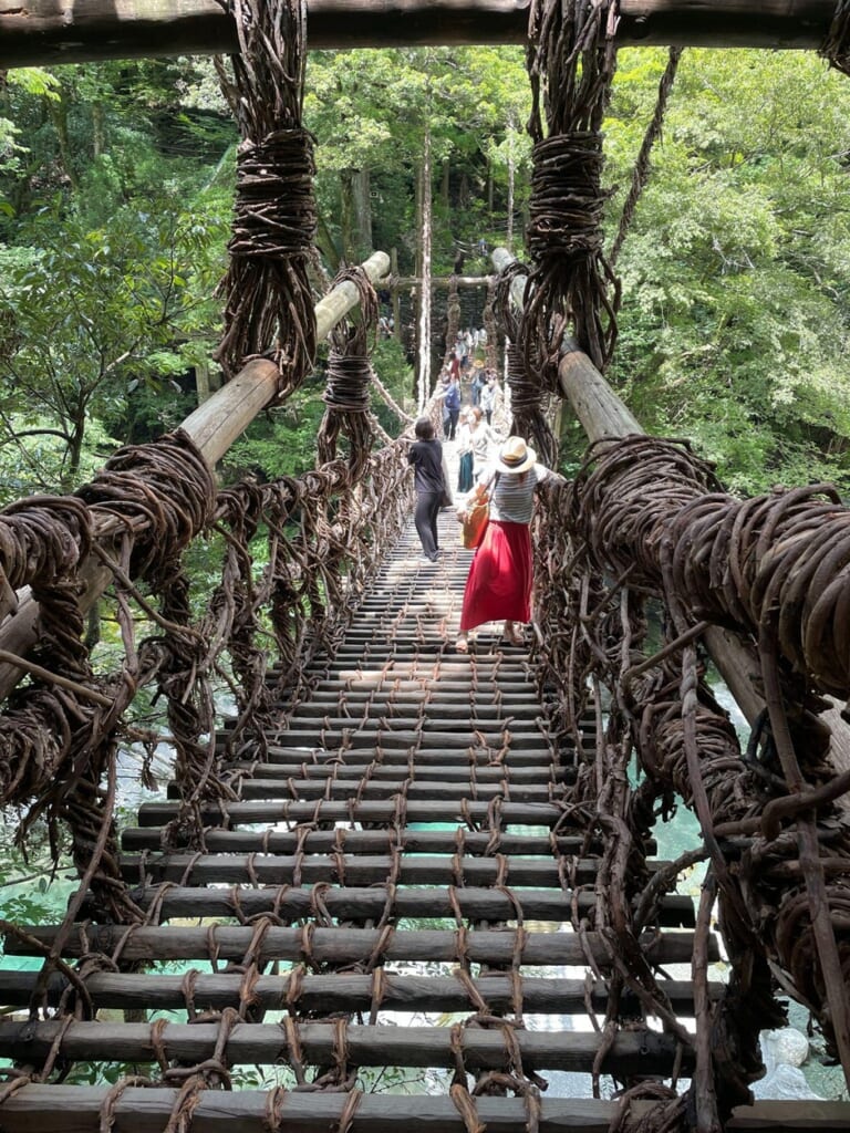 祖谷のかずら橋_渡る様子