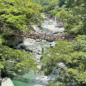 祖谷のかずら橋_遠景