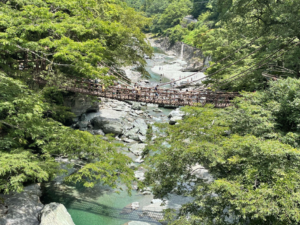 祖谷のかずら橋_遠景
