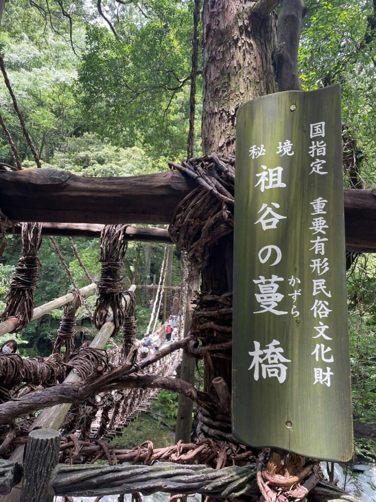祖谷のかずら橋_国指定重要有形民俗文化財