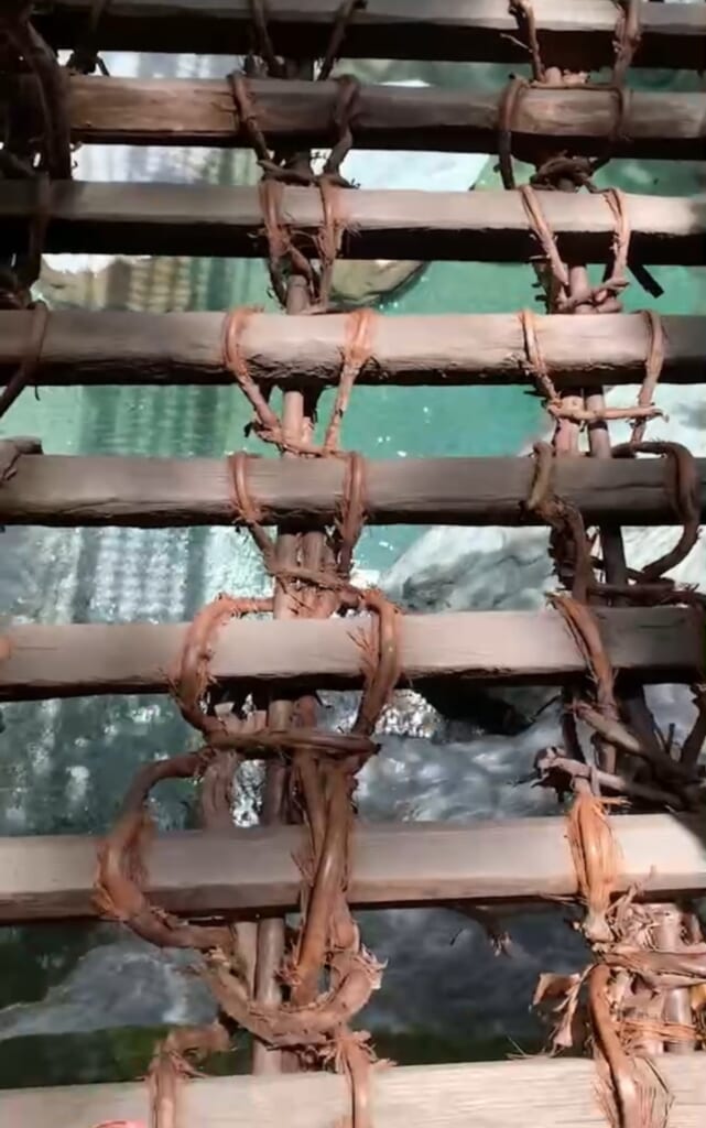 祖谷のかずら橋_さな木
